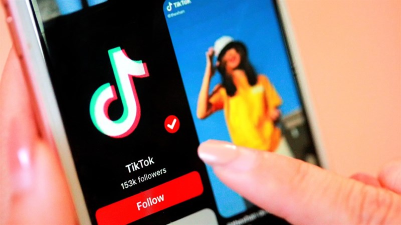 tiktok video downloader